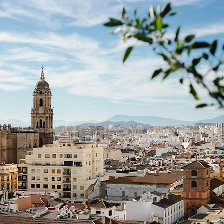 Homely Malaga Cienfuegos, Plaza De La Merced Con Vistas Экстерьер фото